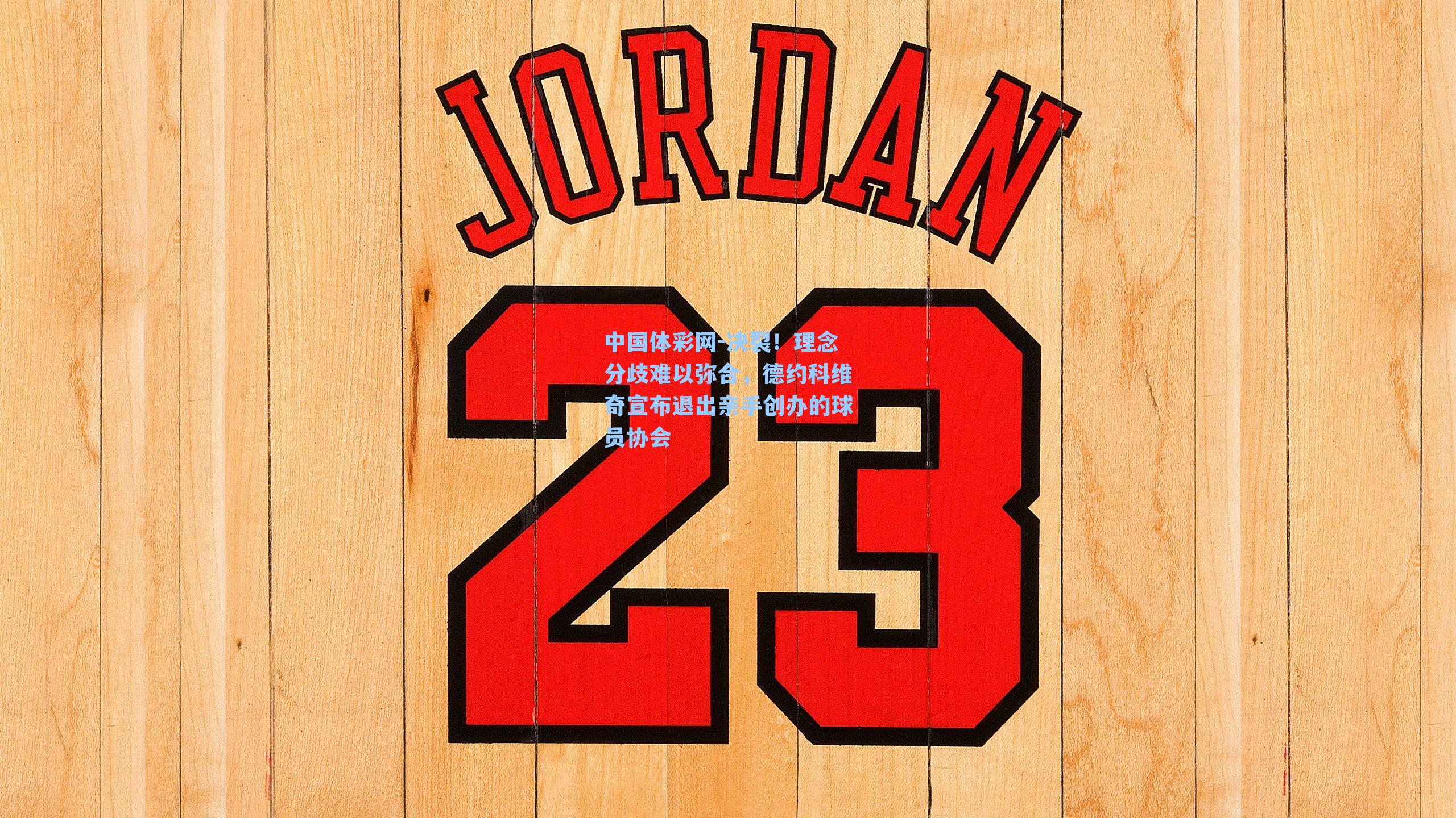 决裂!理念分歧难以弥合,德约科维奇宣布退出亲手创办的球员协会