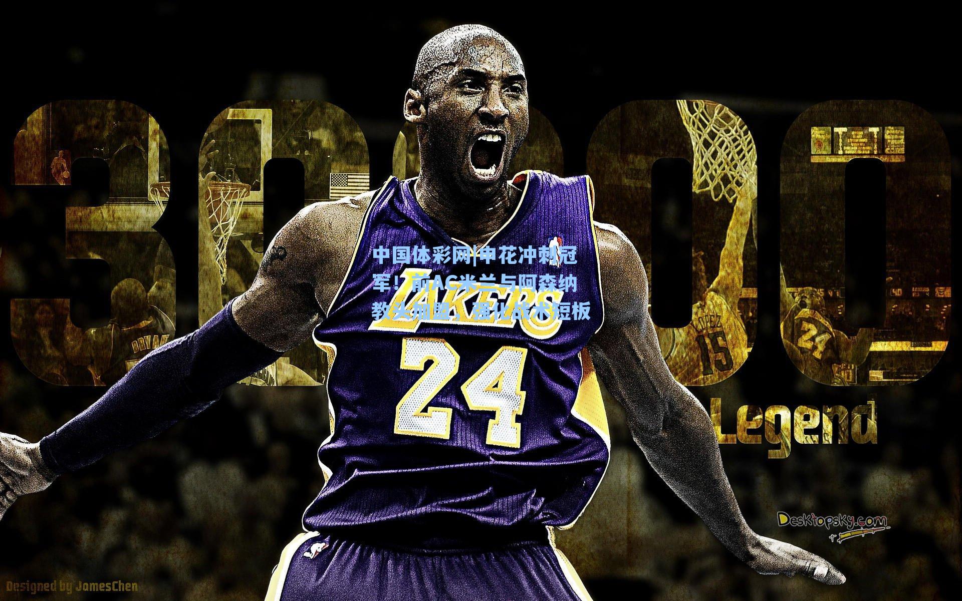 申花冲刺冠军！前AC米兰与阿森纳教头加盟，强化战术短板